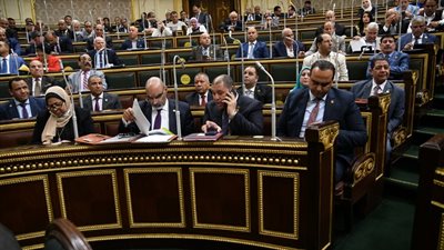نائب يحذر من انتشار منتجات غذائية غير مطابقة للمواصفات ومدون عليها 