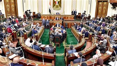 طاقة النواب تفتح ملف القمامة بمحافظة المنيا