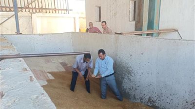 مصادرة ١٠ طن قمح بأحد المطاحن الخاصة بالقنطرة