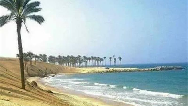 شمال سيناء