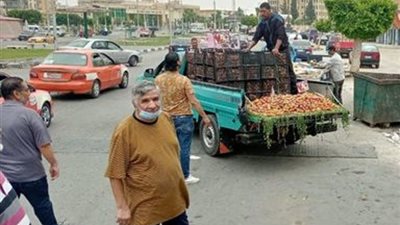 تكثيف حملات عودة الإنضباط لشوارع الإسماعيلية..صور