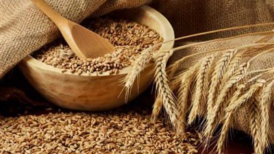واردات مصر من القمح تسجل 176 مليون دولار في فبراير الماضي