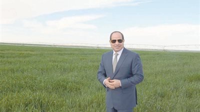 وزير الزراعة: 