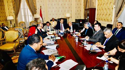 حذرت من زيادة الاعباء المالية .. شباب النواب توافق علي موازنة المجلس القومي للرياضة