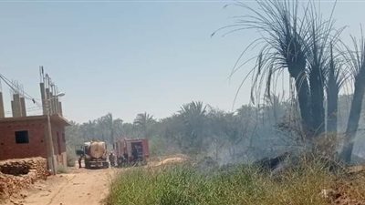 السيطرة على حريق محدود بمزرعة نخيل بمركز الداخلة في الوادي الجديد