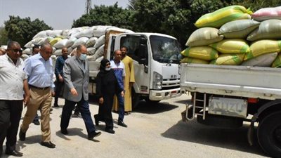 عصام سعد: كمية محصول القمح المحلي الموردة حتى الآن يصل إلى 137 ألف طن