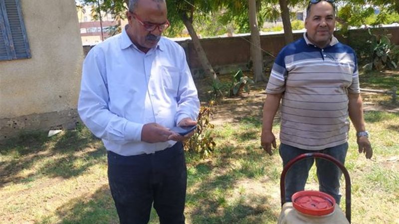بوابة الجمهورية