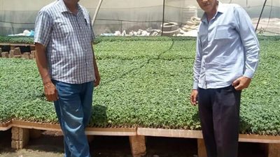 فحص مساحات الصوب الزراعية بأهناسيا