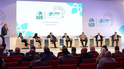 البنك المركزي المصري يستعد لإصدار حزمة من الخدمات الرقمية