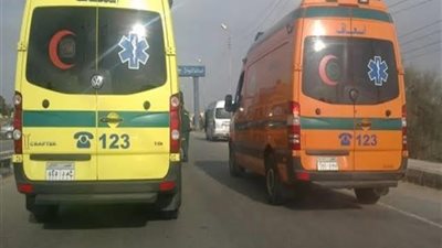 إصابة طفلين بتسمم بالشرقية