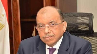 شعراوى وعوض وسفير سويسرا يفتتحون بعض المشروعات التنموية في دمياط