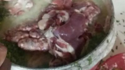 ضبط 35 طن مواد غذائية فاسدة بالشرقية ..صور
