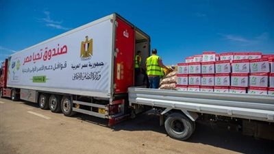 صندوق تحيا مصر يوزع 48 طن مواد غذائية على 2000 أسرة بوسط سيناء