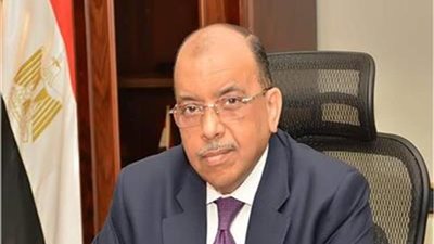 وزير التنمية المحلية: تنفيذ أكثر من 195,6 ألف مشروع ضمن مبادرة 