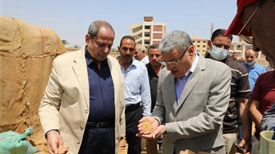 محافظ المنيا: استمرار الشون والصوامع الحكومية في استقبال محصول القمح