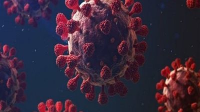 بعد مرور عامين على الجائحة.. منظمة الصحة العالمية تطالب بإجراء تحقيق حول سبب انتشار كورونا