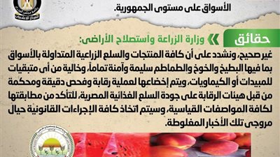 الحكومة توضح حقيقة انتشار أنواع بطيخ وخوخ وطماطم مسممة بمختلف الأسواق