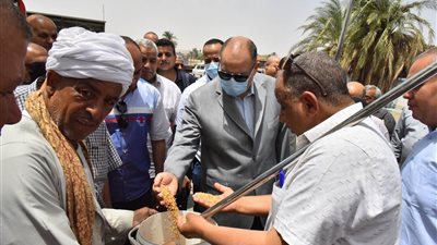 محافظ أسيوط يعلن عن استلام 161 ألف طن قمح بالصوامع والشون حتى اليوم