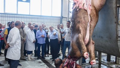 محافظ الإسكندرية يتفقد تجديدات المجزر الآلى بالعامرية ثان..صور