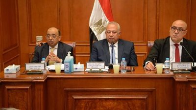 شعراوى أمام مجلس الشيوخ: تسجيل العقود فى الشهر العقارى لا يستغرق أكثر من ٣٧ يوما تسهيلاً للمواطنين