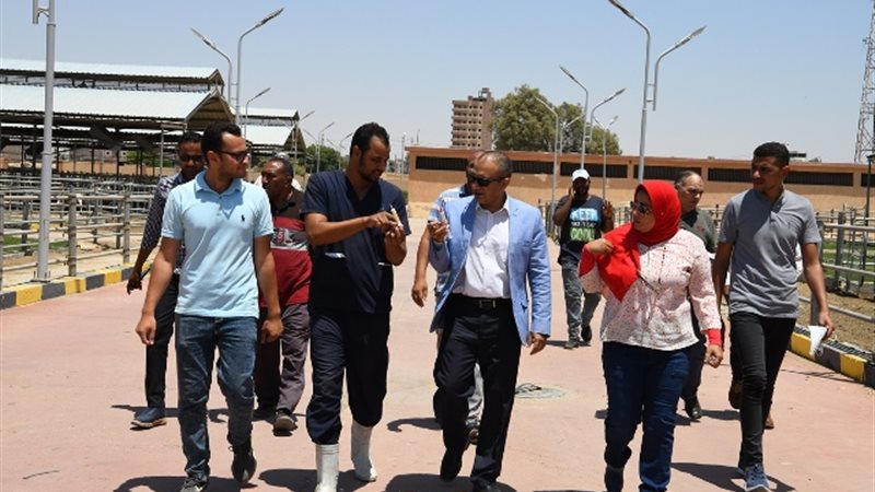 بوابة الجمهورية