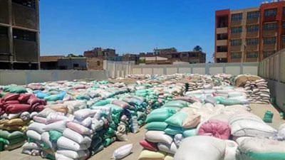 توريد أكثر من 103 ألف طن أقماح بسوهاج حتى الآن..صور