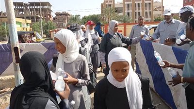 والإحصاء فى مستوى الطالب المتوسط بثانوية أسوان
