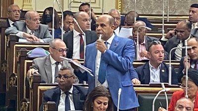 صحة النواب تناقش طلبات سوهاج الطبية