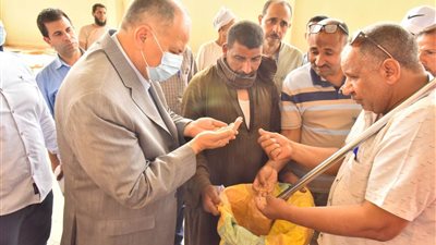 محافظ أسيوط يعلن عن توريد167 ألف طن قمح محلي إلى 30 شونة وصومعة بالمراكز حتى الآن