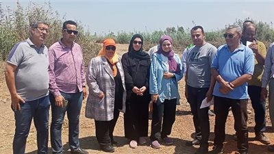 بتمويل من البنك الدولي محطة معالجة للصرف الصحي ببراشية دمياط