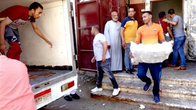 ضبط 733 كيلو دواجن مجمدة فاسدة في الأقصر..صور