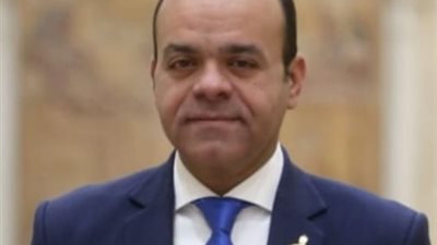 برلماني: تغير المناخ أمن قومي عالمي.. واستضافة مصر للقمة القادمة تأكيد على مكانتها الدولية