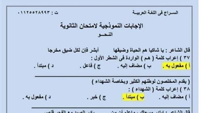 16 سؤالا واجابتهم النموذجية فى النحو.. روشتة التفوق فى الاعراب للثانوية العامة