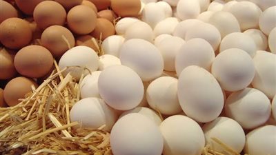 اسعار البيض اليوم الإثنين 27-6-2022