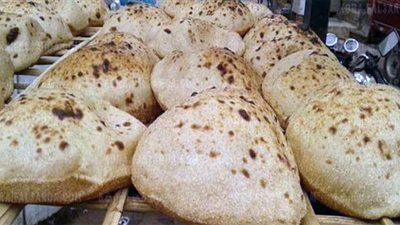 شعبة المخابز: إضافة البطاطا للخبز مقترح ما زال قيد البحث