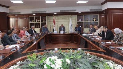 تخصيص أراضي لمشروعات عامة وأنشطة تجارية ببنى سويف