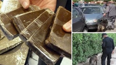3,5 كيلو جرام فودو بحوزة سائق فى السلام