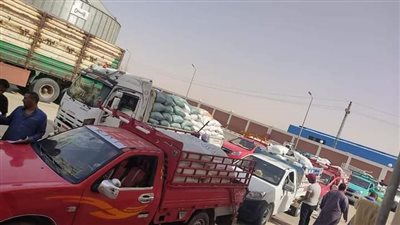 توريد نصف مليون طن قمح وزيادة بصوامع العوينات والخارجة