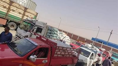توريد نصف مليون طن قمح وزيادة بصوامع العوينات والخارجة