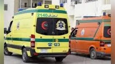 انقلاب سيارة إسعاف وإصابة قائدها ومسعف بالإسماعيلية