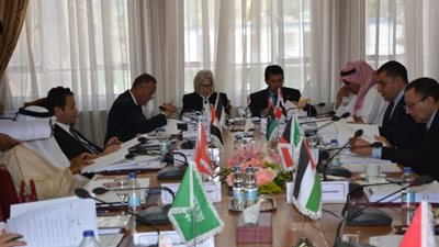 صبحى يترأس اجتماع الدورة 