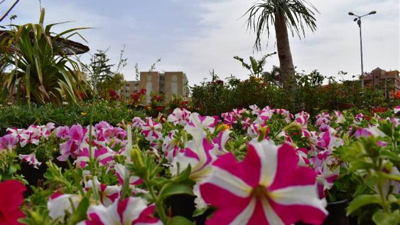 بوابة الجمهورية