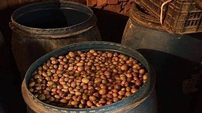 ضبط 3.5 طن مخلل فاسد داخل مصنع بير سلم بشبين القناطر