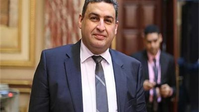 النائب محمد العقاد: نسبة المشاركة فى الاستفتاء تؤكد أن الشعب كان على قدر المسئولية