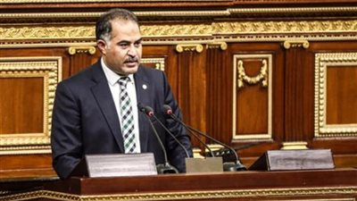 وكيل النواب: تحرير سيناء كان من أيام العزة والكرامة في تاريخ مصر