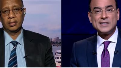 بالفيديو.. معارض سوداني: الحكومة القادمة ستتشكل من 
