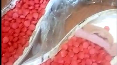 ضبط نصف كيلو ترامادول قبل تهريبها من مطار القاهرة