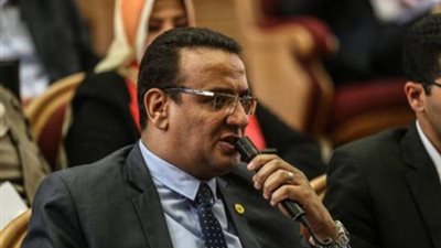 متحدث النواب: الرئيس نجح فى وصول العلاقات بين القاهرة وبكين الى 