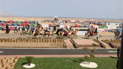اتحاد القبائل العربية: شرم الشيخ أصبحت مركزا لجميع الرياضيات وملتقي الشعوب العربية والأجنبية