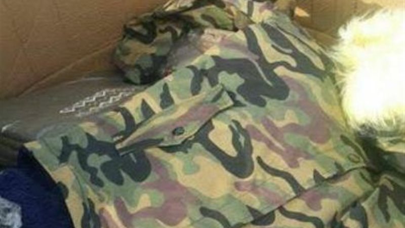 بوابة الجمهورية